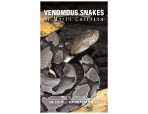 Venomous Snakes of NC - North Carolina Museum of Natural