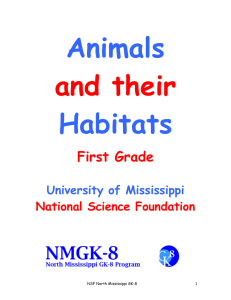 Habitats: Animals and Their Adaptations