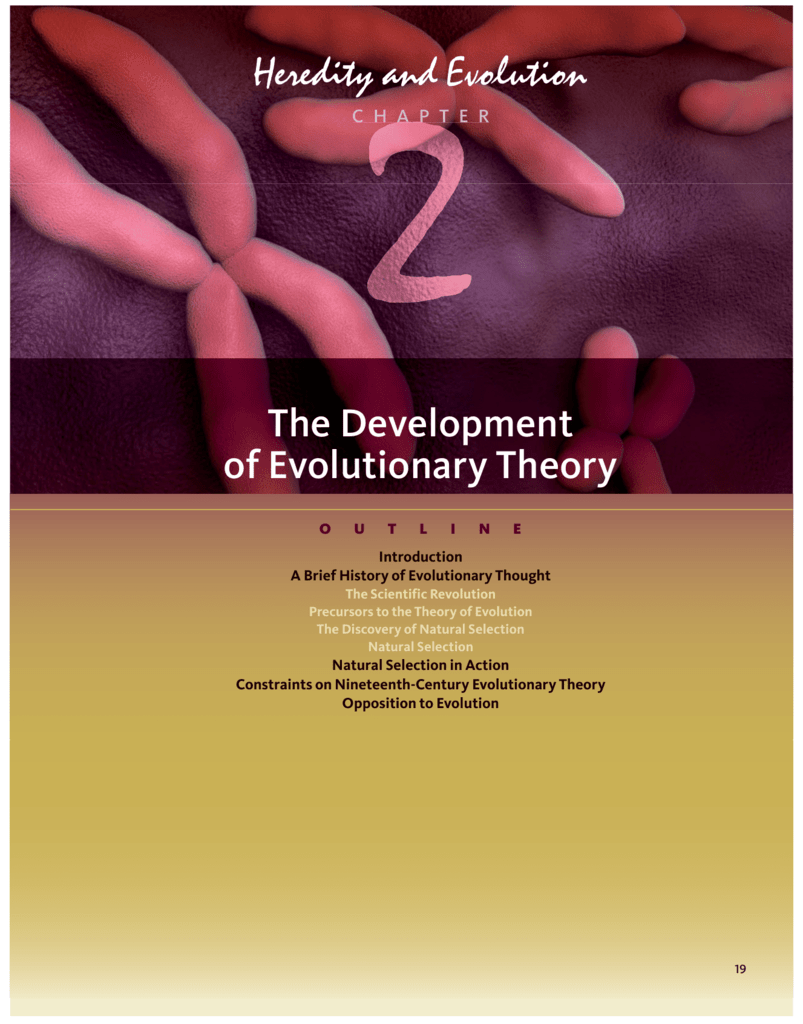 the hypothesis that evolutionary development is marked by