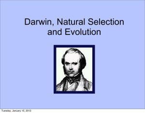 Darwin, Natural Selection and Evolution