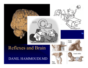 Reflexes and Brain - Sinoe Medical Association