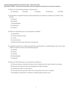 animal diversity (phylum, classes) formative quiz - 07-08.tst