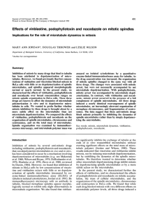 Effects of vinblastine, podophyllotoxin and nocodazole on mitotic