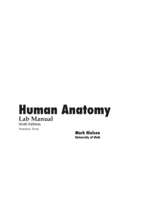 Human Anatomy - Biology Courses Server
