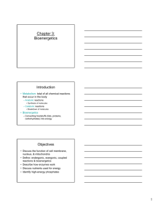 Chapter 3: Bioenergetics