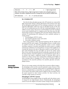 Fig. 2-5. Breakdown of ATP