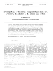 Investigations of the marine lysogenic bacterium H24. I. General