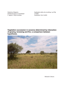 Vegetation succession in savanna determined by interaction of