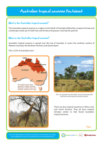 Australian tropical savanna factsheet