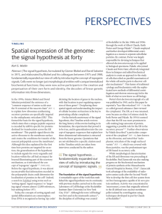 Spatial expression of the genome: the signal hypothesis at forty