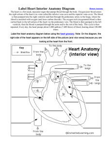 Label Heart Interior Anatomy Diagram