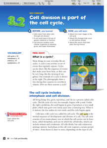 Cell division is part of the cell cycle.