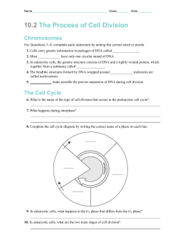 Guide
