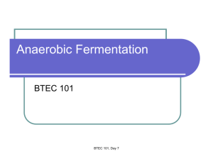 7.Anaerobic Fermentationin reviso8102020