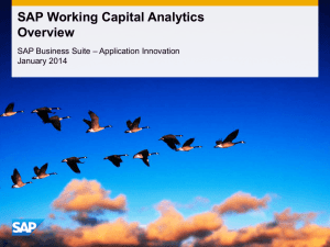 SAP Working Capital Analytics - Overview