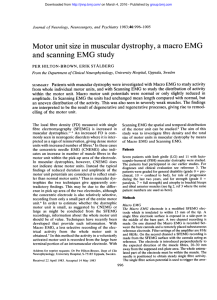 Motor unit size in muscular dystrophy, a macro EMG and scanning