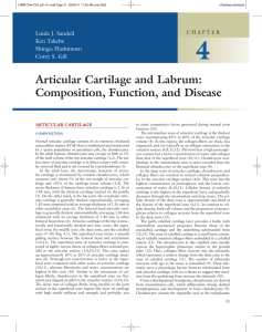 Articular Cartilage and Labrum: Composition, Function, and Disease