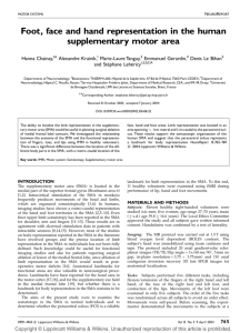 Foot, face and hand representation in the human supplementary