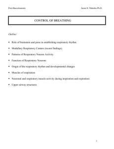 CONTROL OF BREATHING