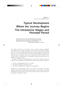 Typical Development Where the Journey Begins The Intrauterine
