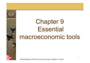 Chapter 9 Essential macroeconomic tools