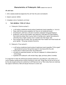 Bacterial Morphology Notes