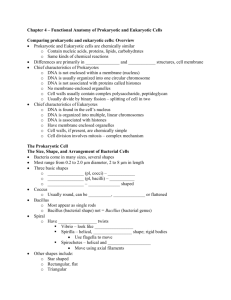 Chapter 4 – Functional Anatomy of Prokaryotic and