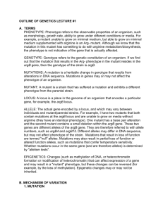 OUTLINE OF GENETICS LECTURE #1 A. TERMS PHENOTYPE