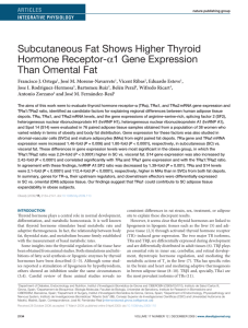Subcutaneous Fat Shows Higher Thyroid Hormone - Zen
