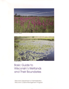 Basic Guide to Wisconsin's Wetlands and Their Boundaries