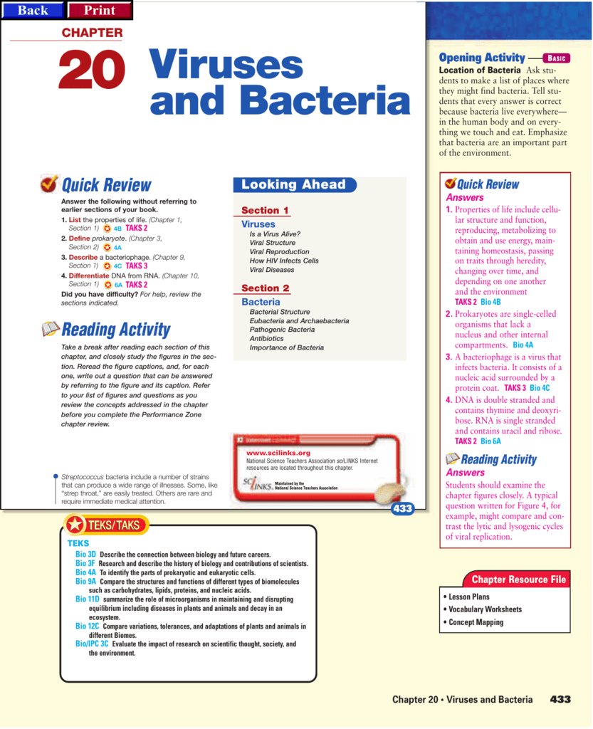 viruses and bacteria critical thinking quizlet