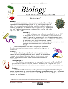 Viruses – Bacteria – Fungi – Protists – Multi-cellular – Prions -