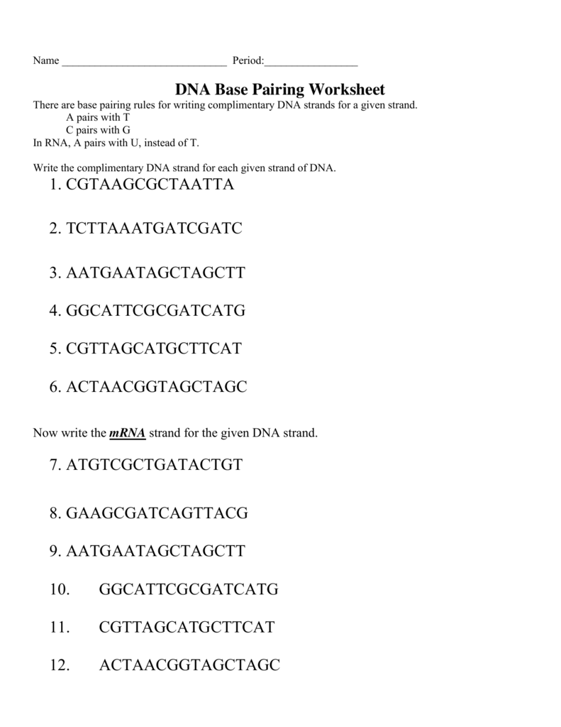 DNA Base Pairing Worksheet 1 CGTAAGCGCTAATTA 2