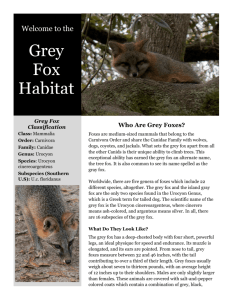 Grey Fox Habitat - Habitat Tracker