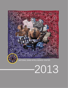 2013 National Gang Report