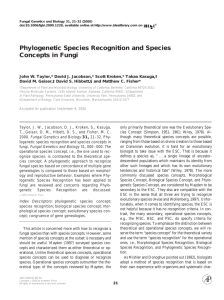 Phylogenetic Species Recognition and Species Concepts in Fungi