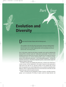 Evolution and Diversity Part four