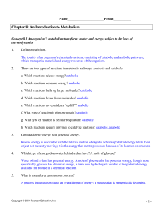 studylib.net - Essays, homework help, flashcards, research papers, book