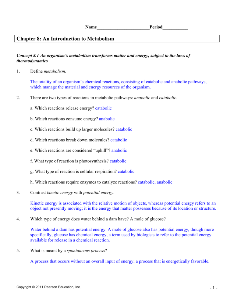 Chapter 8 An Introduction To Metabolism