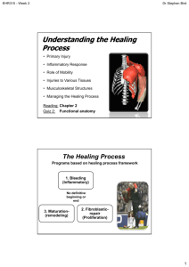 Understanding the Healing Process