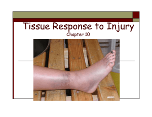 Tissue Response to Injury_09