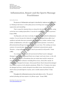 Inflammation, Repair & the Sports Massage Practitioner