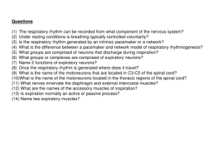 Questions (1) The respiratory rhythm can be recorded from what