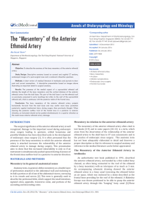 The “Mesentery” of the Anterior Ethmoid Artery