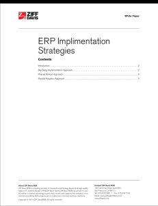 ERP Implimentation Strategies