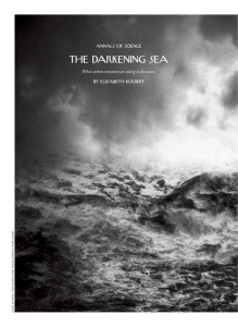 The darkening sea - Earth & Planetary Sciences