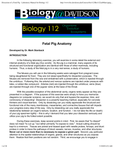 Dissection of a Fetal Pig - Laboratory Manual for Biology 112
