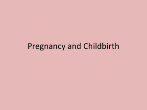 Pregnancy and Childbirth Notes