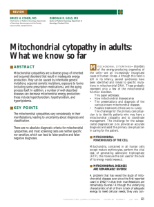 Mitochondrial cytopathy in adults - The Children's Mitochondrial