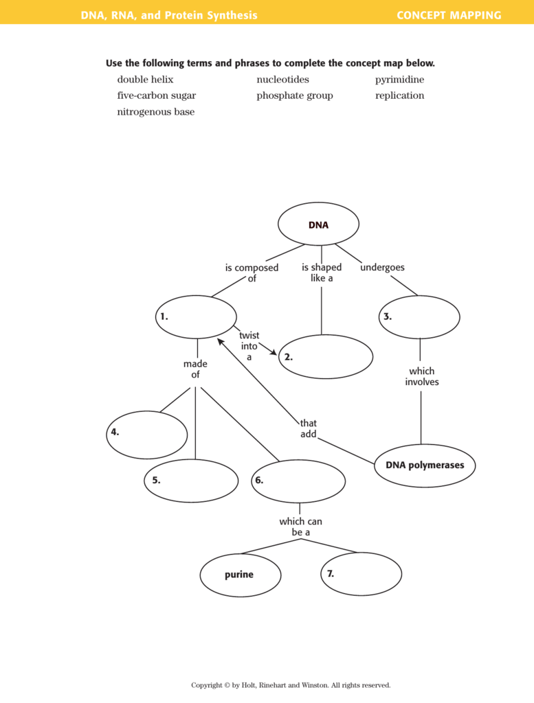 Dna And Rna Concept Map Answers DNA, RNA, and Protein Synthesis CONCEPT MAPPING